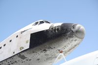 The nose